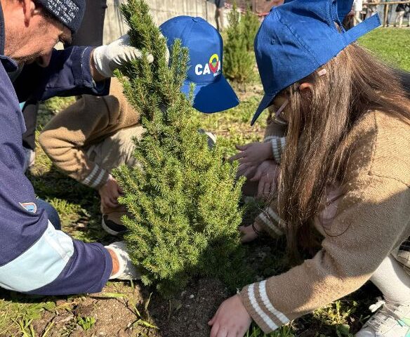 Cava de’ Tirreni, Adotta l’alberello: il progetto termina al Parco Diecimare