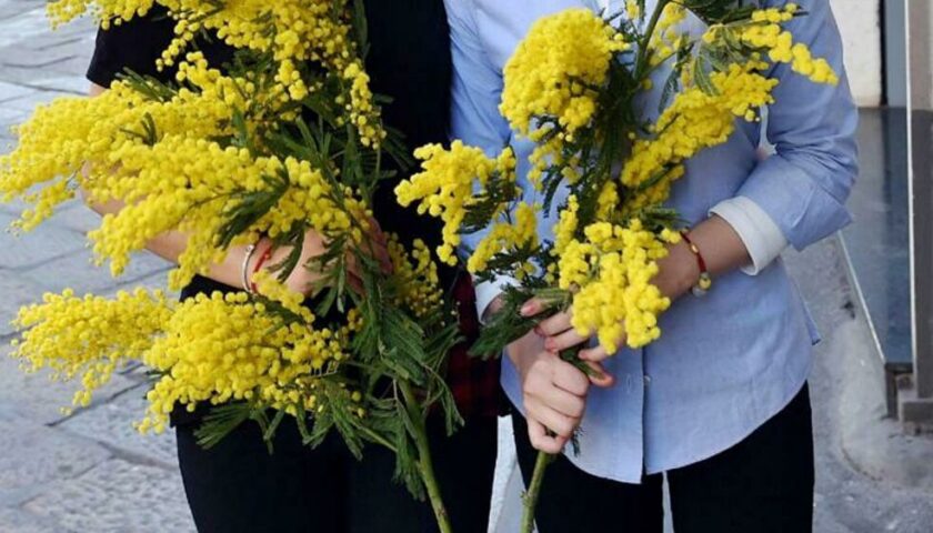 8 MARZO, PREMIO ALLE DONNE ILLUSTRI DI MERCATO SAN SEVERINO