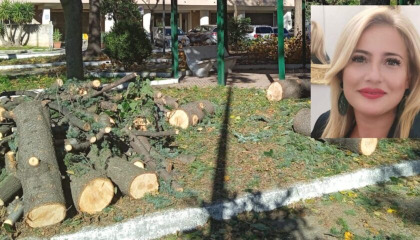 Roccapiemonte, Trezza (Pd): alberi tagliati senza autorizzazione in una piazza pubblica, il sindaco sa tutto ma finge di non vedere