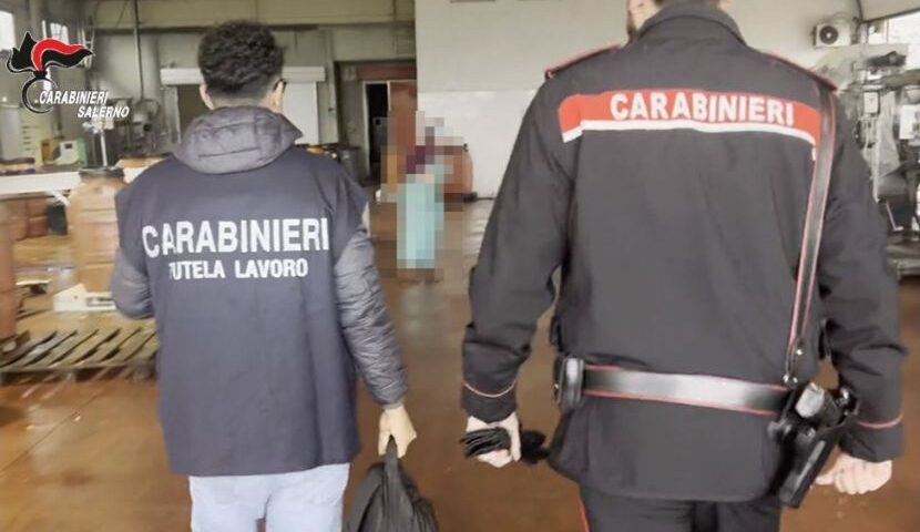 Agro nocerino: arresto, denunce e sequestro