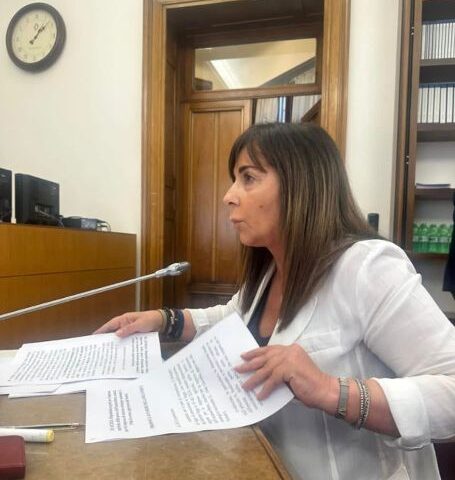 Terzo Settore, Vietri (FdI): “Con la riforma attività e servizi più efficaci” 