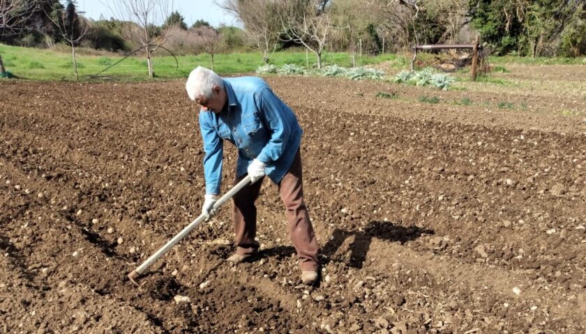 Postiglione, le patate r filetta nel patrimonio dei prodotti agroalimentari tradizionali