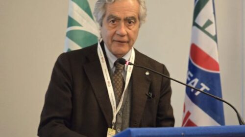 Giornata delle foreste, l’appello di Confagricoltura Campania: rafforzare la filiera forestale per lo sviluppo locale e l’economia circolare