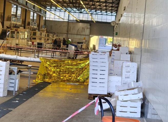Duplice omicidio al mercato del pesce di Salerno, processo immediato per Iacovazzo