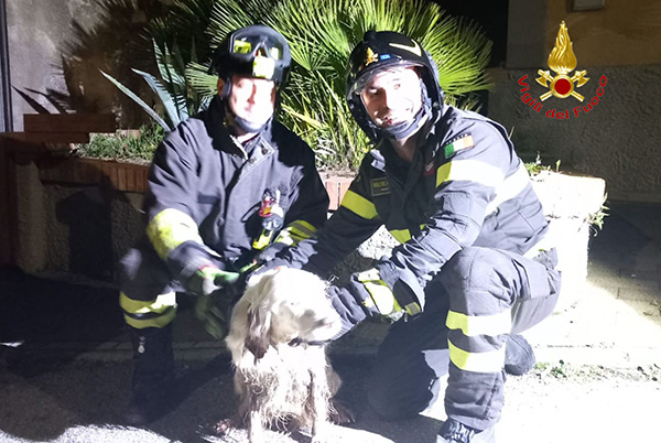 Salerno, cagnolino nel canale a Ogliara salvato dai vigili del fuoco