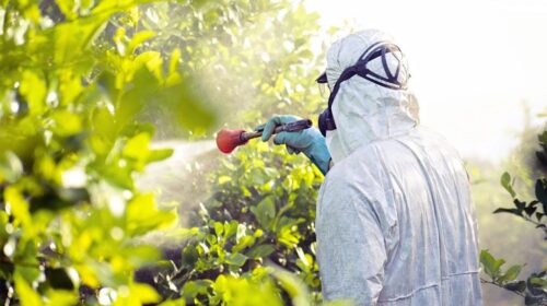 Fitofarmaci adulterati, 8 arresti e sequestri nel Salernitano
