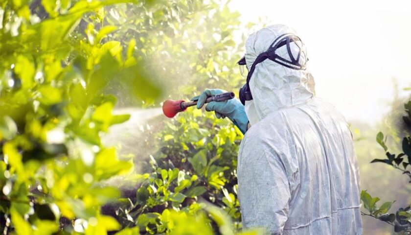 Fitofarmaci adulterati, 8 arresti e sequestri nel Salernitano