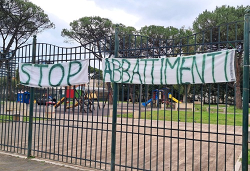 Salerno, abbattimento pini all’Arbostella: parco giochi chiuso e striscioni contro l’intervento