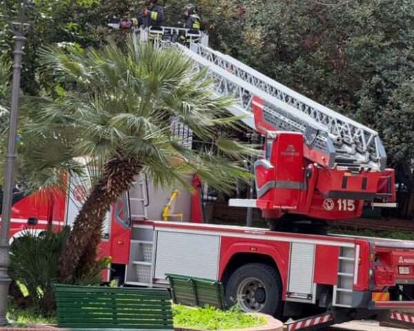 Salerno, forte vento e alberi piegati: chiusa Villa Carrara