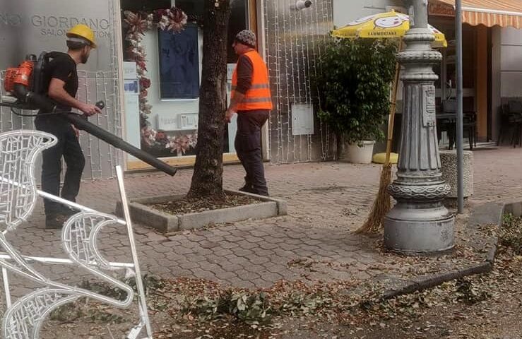 Salerno, lavori per la messa a dimora di 200 alberi e piante
