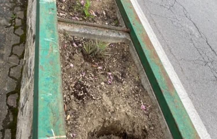Cava de’ Tirreni, ladri rubano anche i fiori dai vasi