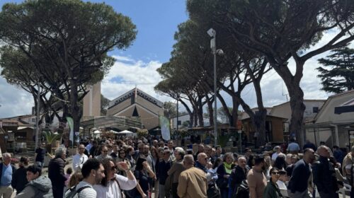 Da domani a domenica a Gromola la Festa del Carciofo di Paestum