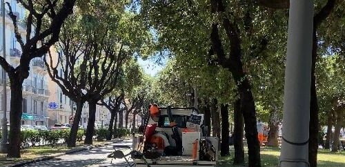 Manutenzione del verde affidata a Salerno Pulita, stabilità e nuove assunzioni 