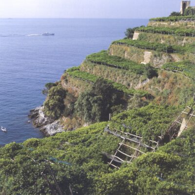 Amalfi, finanziamenti a fondo perduto per l’agricoltura attiva