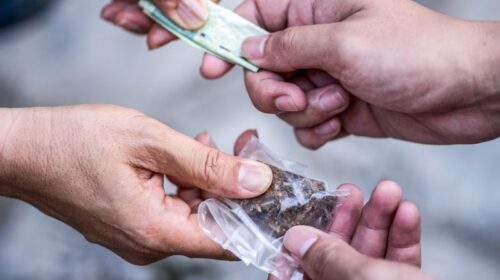 LOTTA AL TRAFFICO DEGLI STUPEFACENTI E RUOLI CHIAVE DI INFILTRATI E SERVIZI SEGRETI