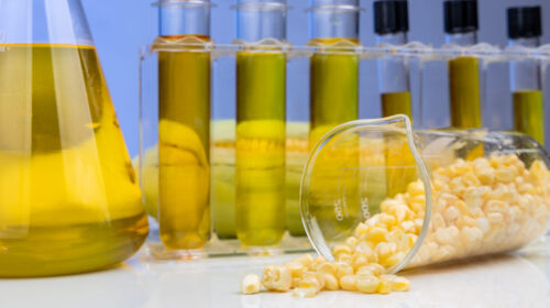 Biofuel: Combustibili alternativi per un Futuro Verde