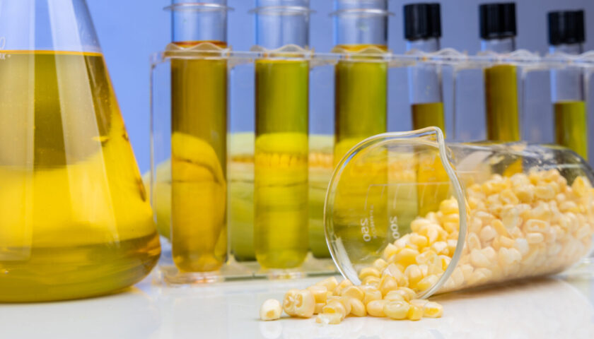 Biofuel: Combustibili alternativi per un Futuro Verde