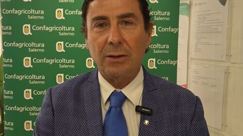 Confagricoltura: Voli da Salerno per le fiere dell’ortofrutta di Berlino e Madrid