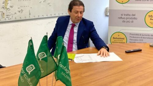 CONFAGRICOLTURA SALERNO: DANNI DA FAUNA SELVATICA, OLTRE I DANNI ANCHE LA BEFFA