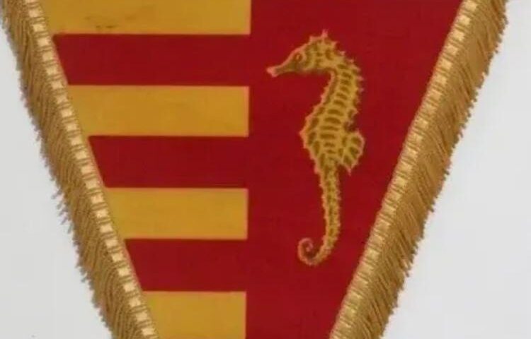 SALERNITANA, “COME TE NON C’E’ NESSUNO”