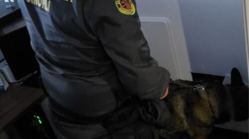 Operazione antidroga a Cava de’ Tirreni, blitz con 12 arresti: i nomi dei coinvolti
