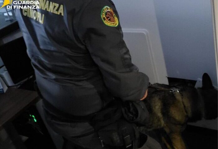 Operazione antidroga a Cava de’ Tirreni, blitz con 12 arresti: i nomi dei coinvolti
