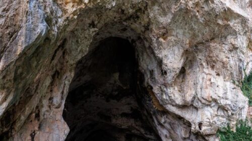 PERTOSA, FONDAZIONE MIDA E IREN INSIEME PER IL DAM DAY