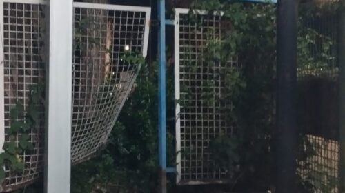 Furto a “Salerno Pesca” nella zona industriale sventato dalla vigilanza