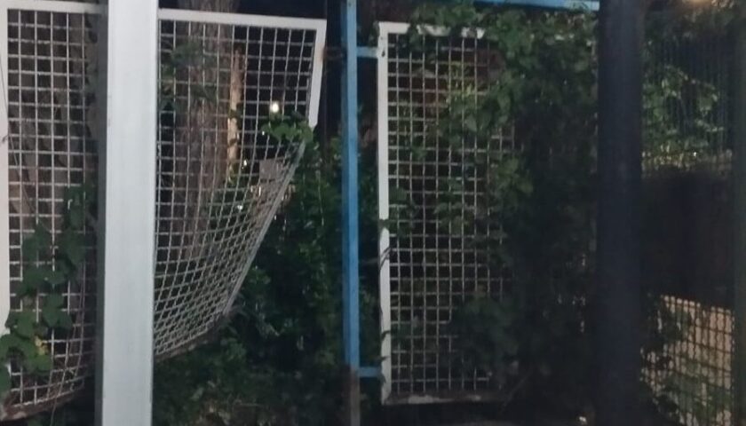 Furto a “Salerno Pesca” nella zona industriale sventato dalla vigilanza