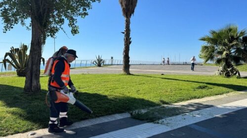 Salerno Pulita, partita ieri l’operazione sulla gestione e manutenzione del verde in città