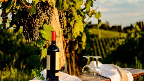 TURISMO, DALLA REGIONE 10,2 MILIONI PER ITINERARI CULTURALI, NATURALISTICI ED ENOGASTRONOMICI