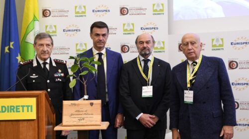 AGROMAFIE: COLDIRETTI, L’ALBERO DI FALCONE PIANTATO SUI TERRENI CONFISCATI AI CASALESI