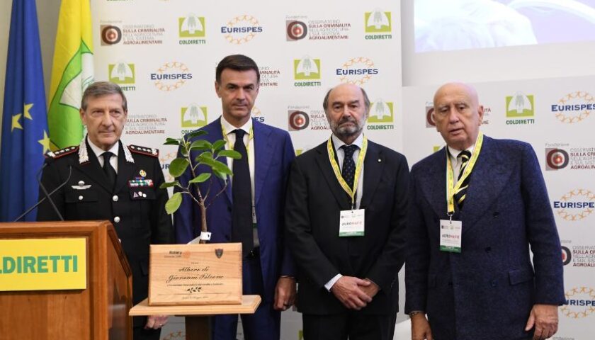 AGROMAFIE: COLDIRETTI, L’ALBERO DI FALCONE PIANTATO SUI TERRENI CONFISCATI AI CASALESI