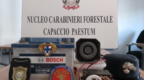 Bracconaggio a Capaccio/Paestum: sequestrati richiami illegali