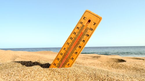 Come vivere al meglio quando l’estate non dà tregua