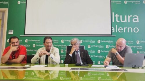 Battipaglia: incontro tra Confagricoltura Campania e Confcooperative Campania per il futuro dell’ortofrutta