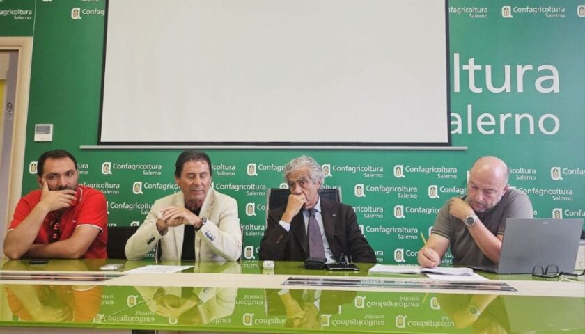 Battipaglia: incontro tra Confagricoltura Campania e Confcooperative Campania per il futuro dell’ortofrutta