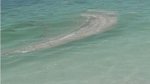Salerno, torna il mare sporco sul litorale da Torrione a Torre Angellara