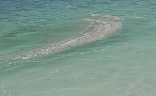 Salerno, torna il mare sporco sul litorale da Torrione a Torre Angellara