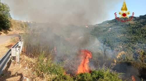 Cilento, incendio a Prignano: le fiamme divorano 10 ettari di macchia mediterannea