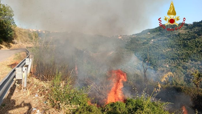 Cilento, incendio a Prignano: le fiamme divorano 10 ettari di macchia mediterannea