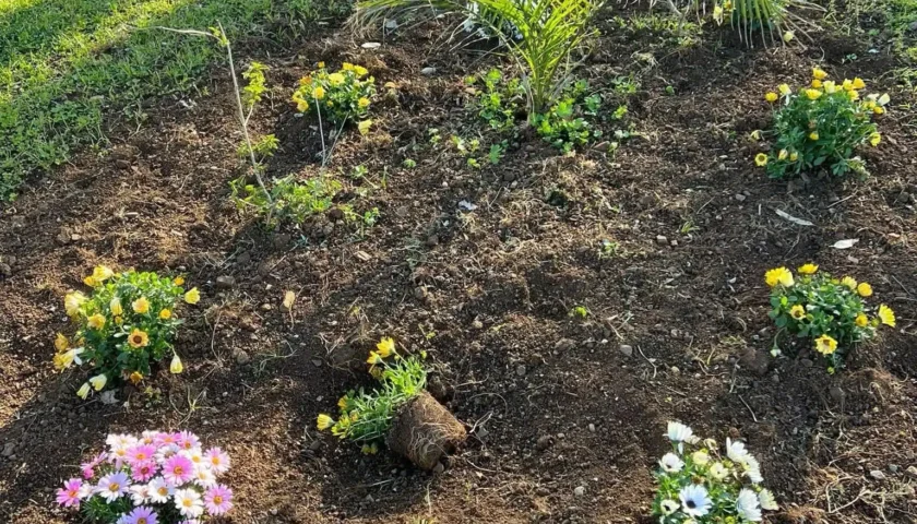 Vandalismo a Sapri, condanna del sindaco: “inciviltà pura”