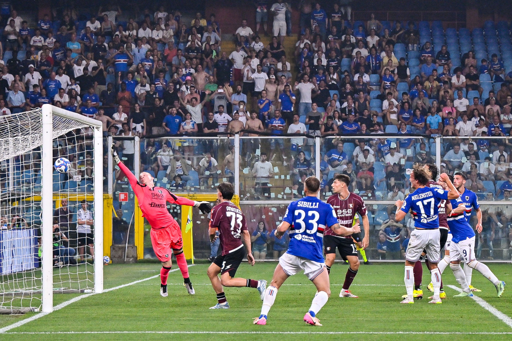 Salernitana, il Tribunale Federale Nazionale: “Poteri legittimi e scelta prudente”