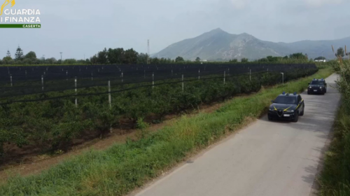 Truffa con l’Agricoltura, sequestro annullato per Cascone
