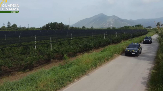 Truffa con l’Agricoltura, sequestro annullato per Cascone
