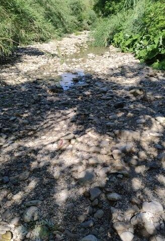 Battipaglia, fiume Tusciano a secco e migliaia di pesci morti: disastro ambientale