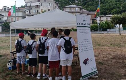 Il Codacons al Giffoni Film Festival