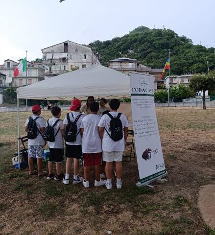 Il Codacons al Giffoni Film Festival