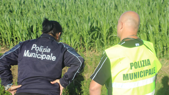 Capaccio Paestum, illecito smaltimento di reflui: denunciato imprenditore a Ponte Barizzo
