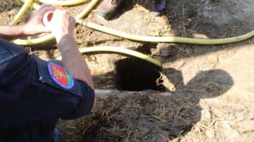 Giffoni Valle Piana, illecito sversamento: denunciato titolare di azienda bufalina